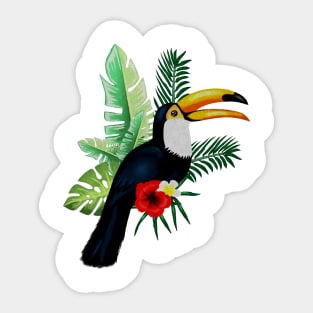 Toucan Bird Tropical Sticker